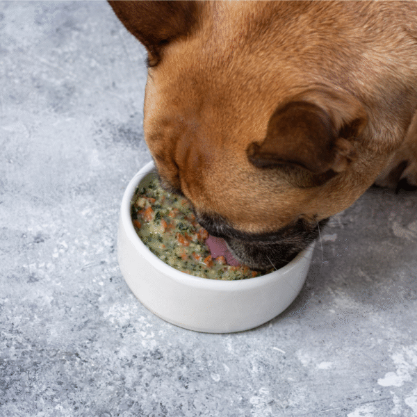 SUSCRIPCION Alimento deshidratado perros 2 KG