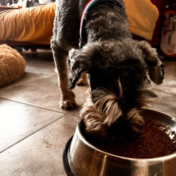 476404315_1263338941407072_6564769811175791313_n 476404315_1263338941407072_6564769811175791313_n