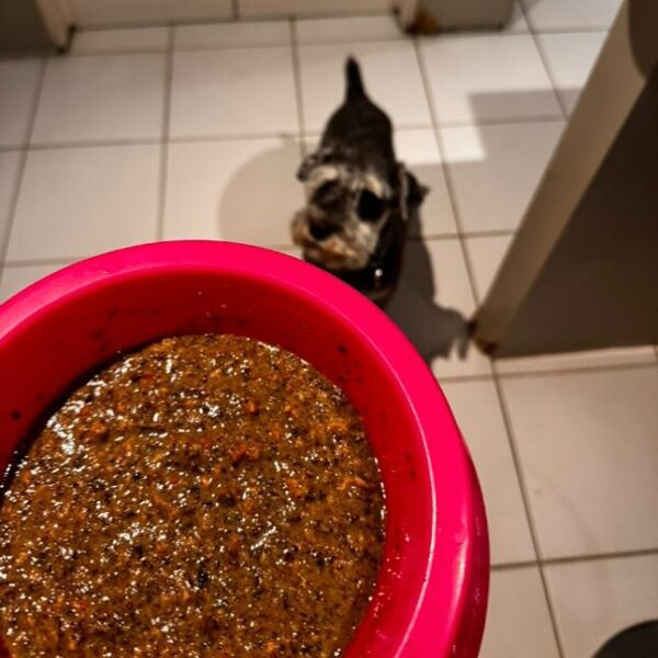 476485999_1559368081443808_4687200111354181728_n 476485999_1559368081443808_4687200111354181728_n