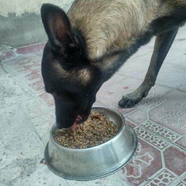 482665058_1400660161113106_5757074776815336997_n 482665058_1400660161113106_5757074776815336997_n