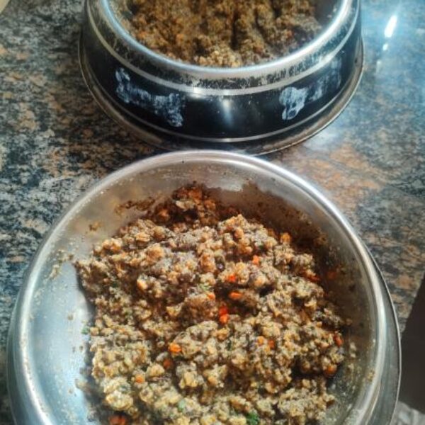 483036048_1050508903772611_2593142033892085413_n 483036048_1050508903772611_2593142033892085413_n