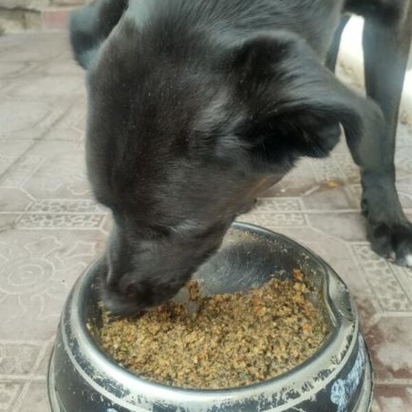 483320086_1373117720527775_5760744836345611308_n 483320086_1373117720527775_5760744836345611308_n