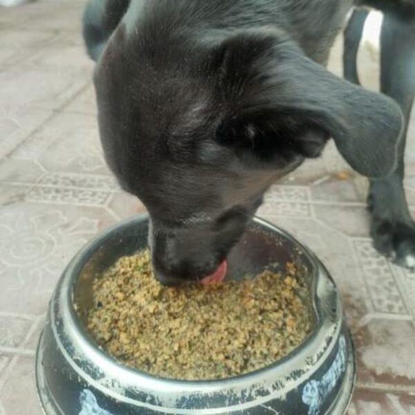 483347184_1033951301907197_6926061624801958713_n 483347184_1033951301907197_6926061624801958713_n