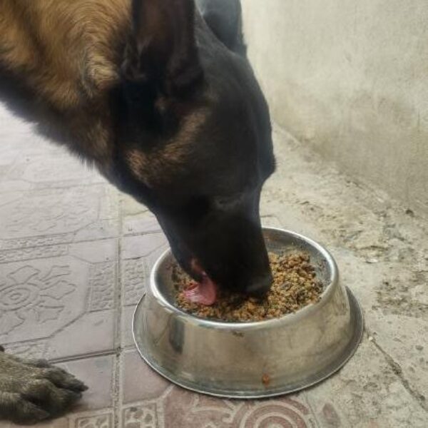 484285928_2129491384160394_6471633629033314942_n 484285928_2129491384160394_6471633629033314942_n